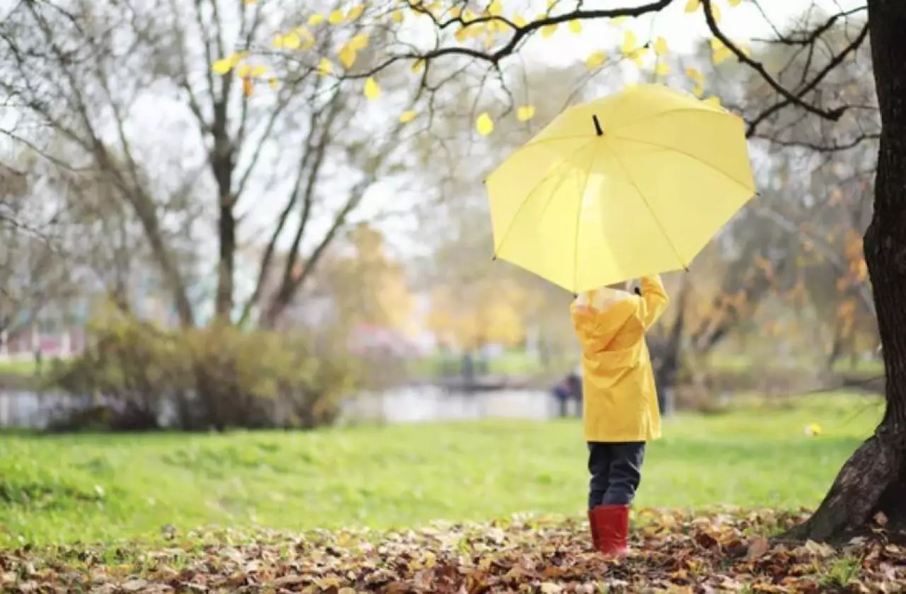 Дожди и усиление ветра прогнозируют казахстанские синоптики