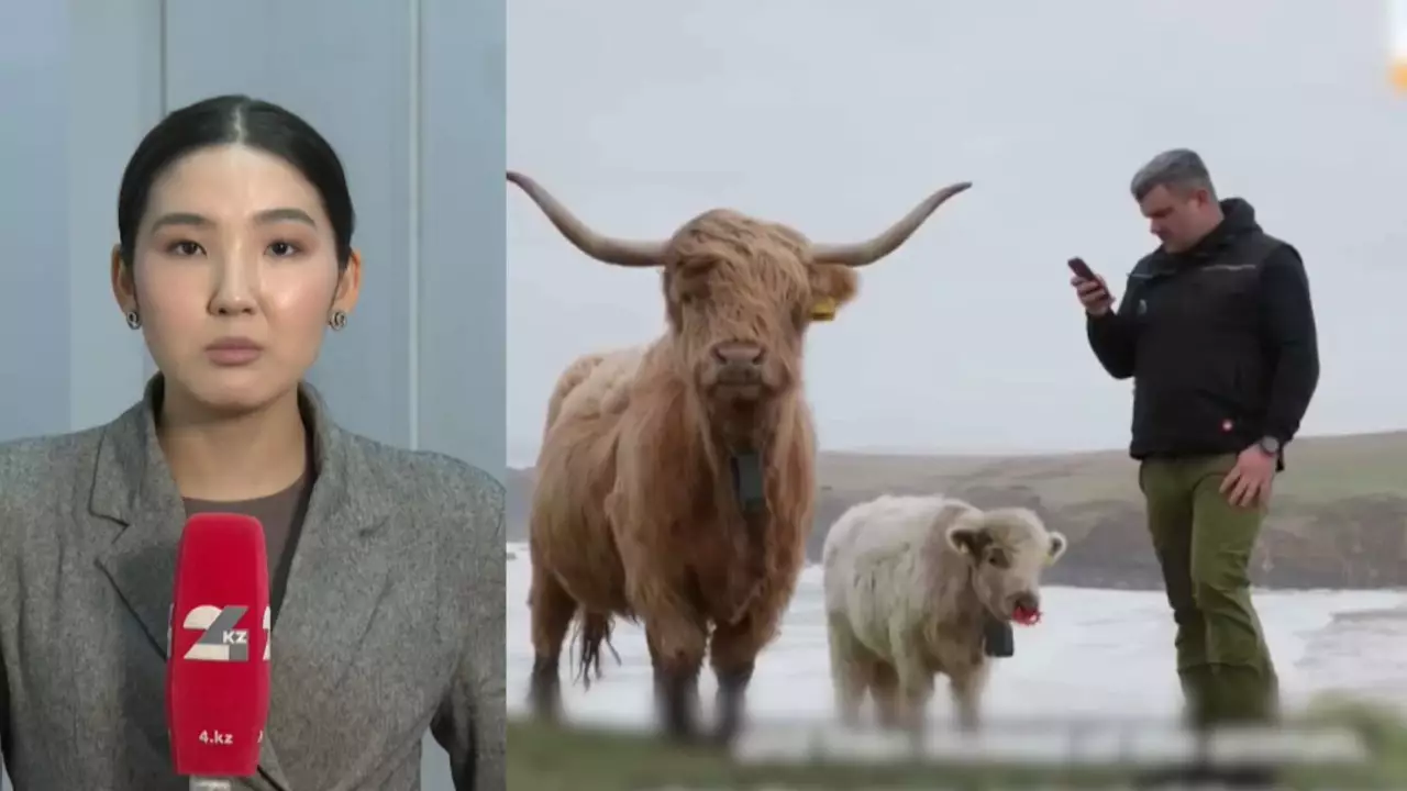 Жасанды интеллект мал бағады