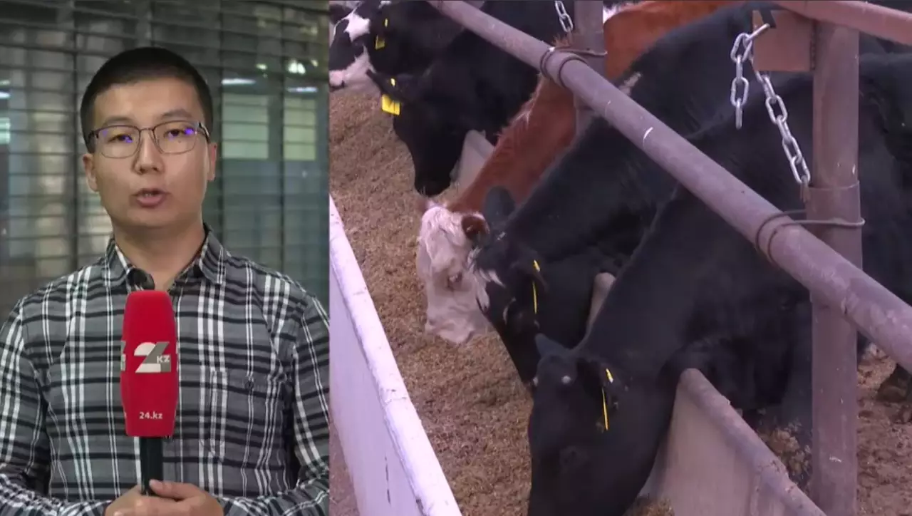 Еліміздегі әрбір мал сканерден өтеді