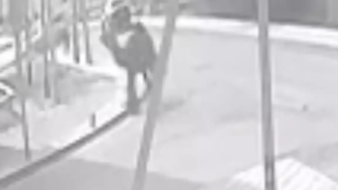 Құлсарыда көшенің қақ ортасында түйе баланы таптап кеткен