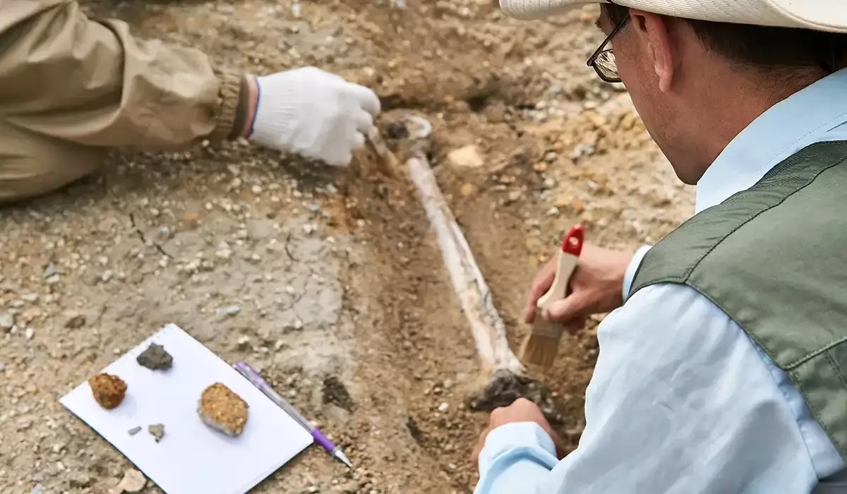 Реставраторлар қазба жұмыстарымен, ал археологтар реставрациямен айналысып жүр – депутат