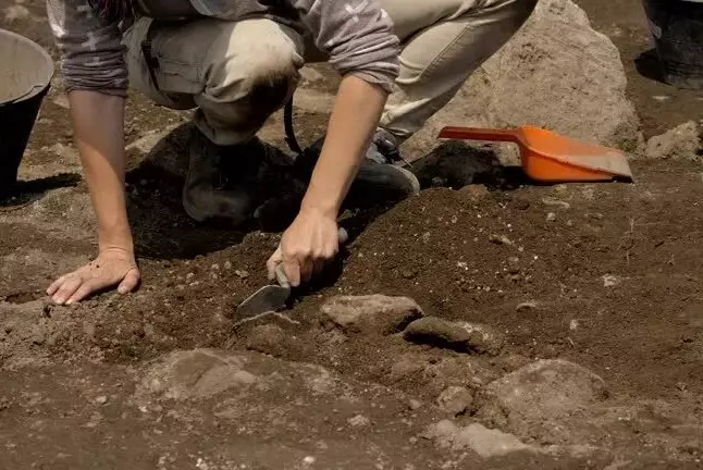 Национальную археологическую службу создадут в Казахстане