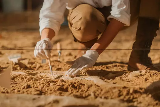 Единая цифровая база археологических данных появится в Казахстане