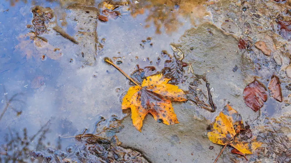 Қазақстанда күн суытып, жаңбыр жауады