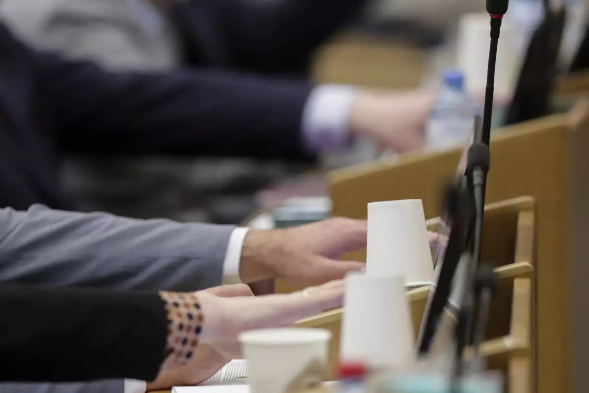 Смышляева: Поправки Сената не меняют содержание законов об ИИ