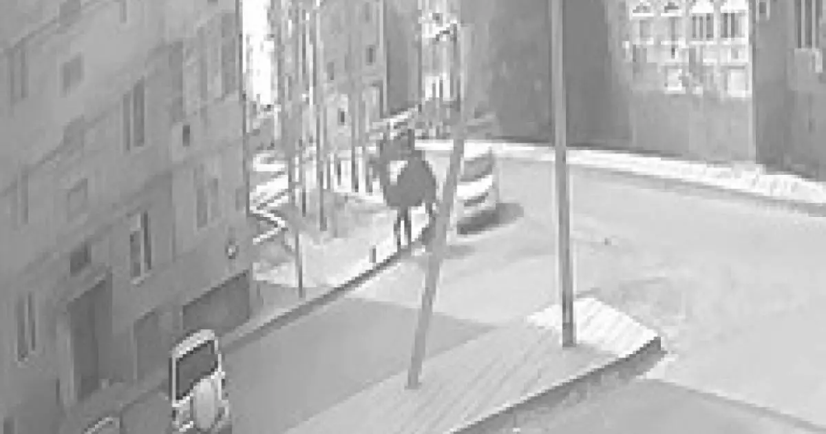  Верблюд затоптал ребёнка в Кульсары 