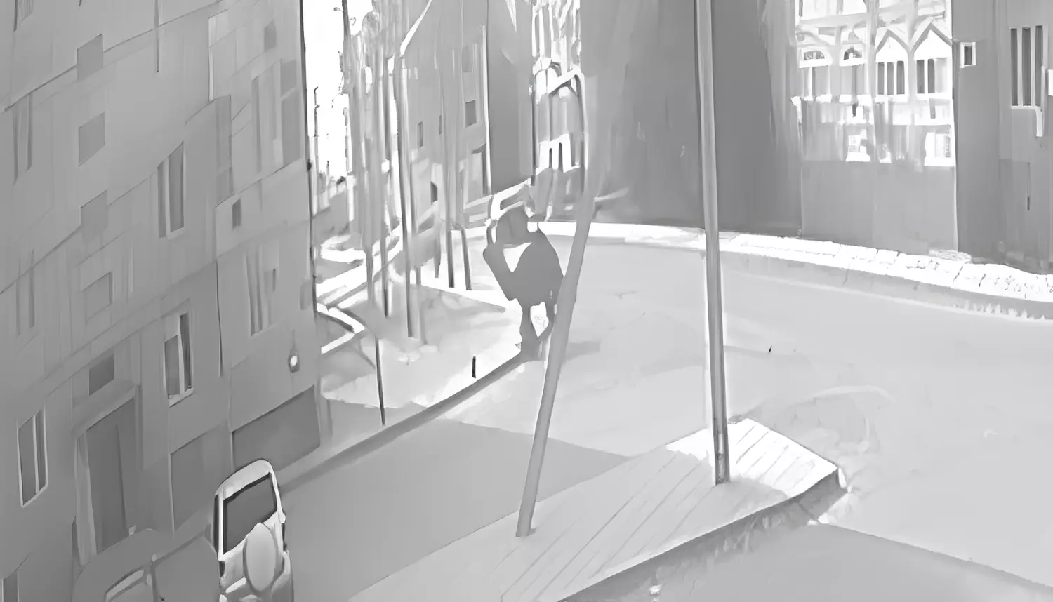 Атырауда түйе баланы таптап кетті