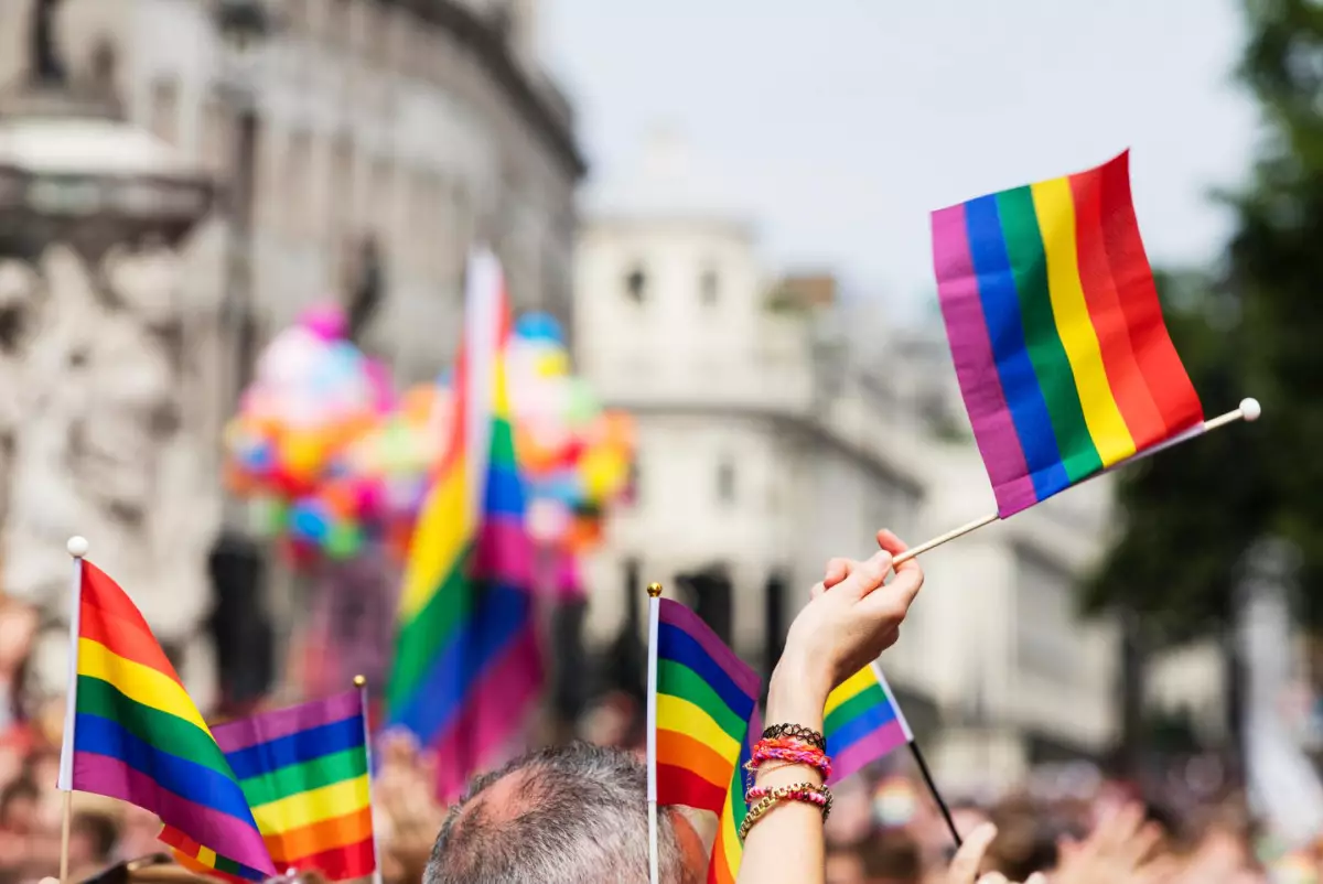 Если есть пропаганда ЛГБТ, то подмена ценностей неизбежна — Смирнова