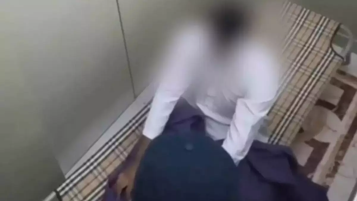 Лифтідегі "жалған мәйіт", Қытайдағы "ұрлық": Депутаттар пранк жасайтын блогерлермен күреспек