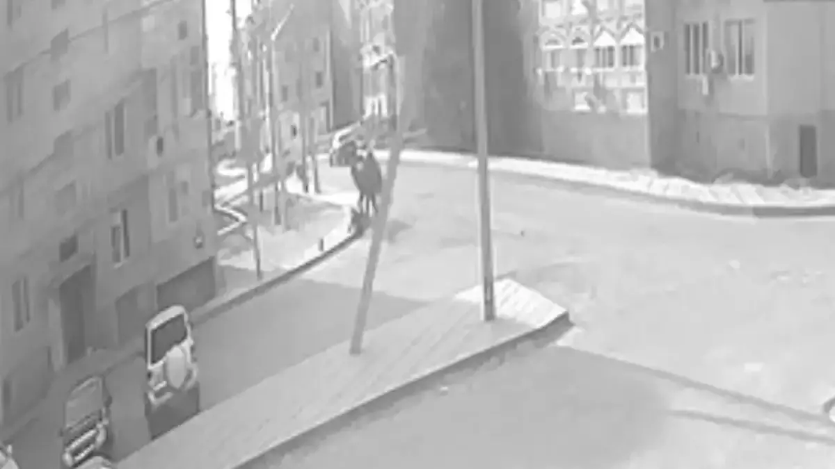 Құлсарыда көшеде жүрген жасөспірімге түйе шабуыл жасады