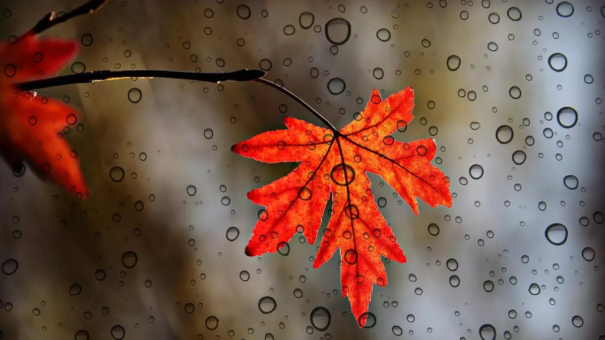 Қазанның соңғы күндері Қазақстанда ауа райы қандай болады?