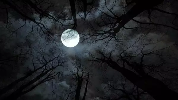 Айдан қорқу фобиясы жайлы естіп көрегсіз бе?