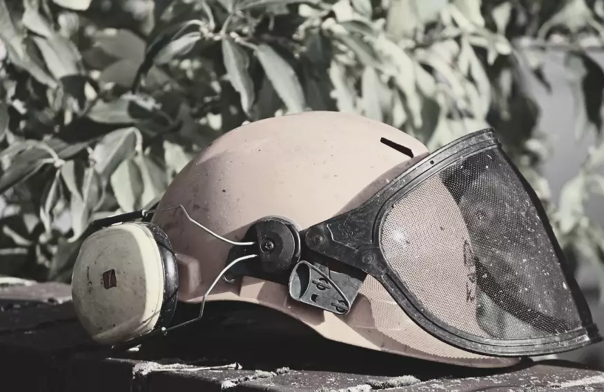 Рабочий погиб при лесозаготовке в Акмолинской области