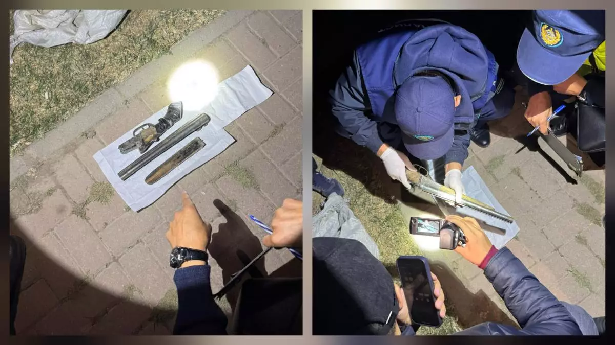 Десятки единиц незаконного оружия изъяли в Туркестанской области