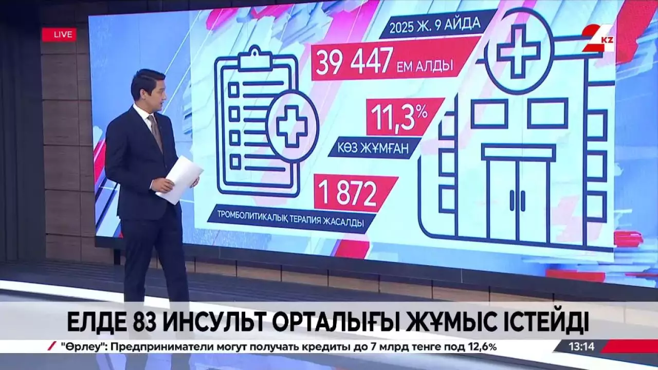 Елде 83 инсульт орталығы жұмыс істейді