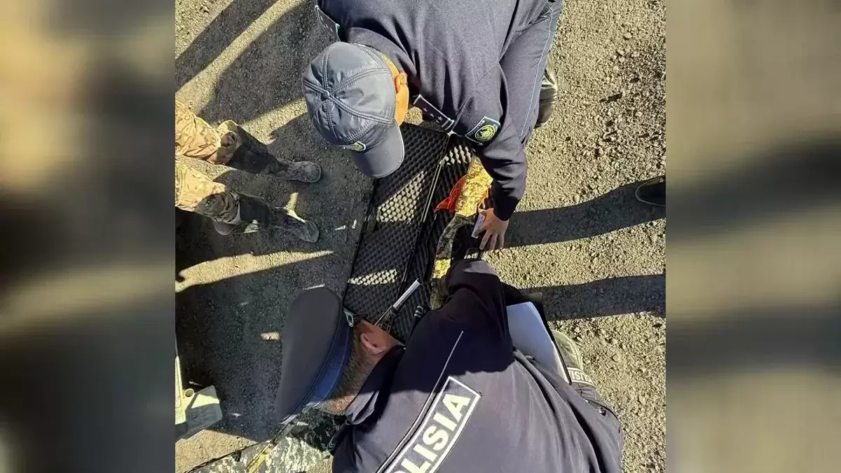 Қызылорда облысында құстарды қынадай қырған аңшы ұсталды