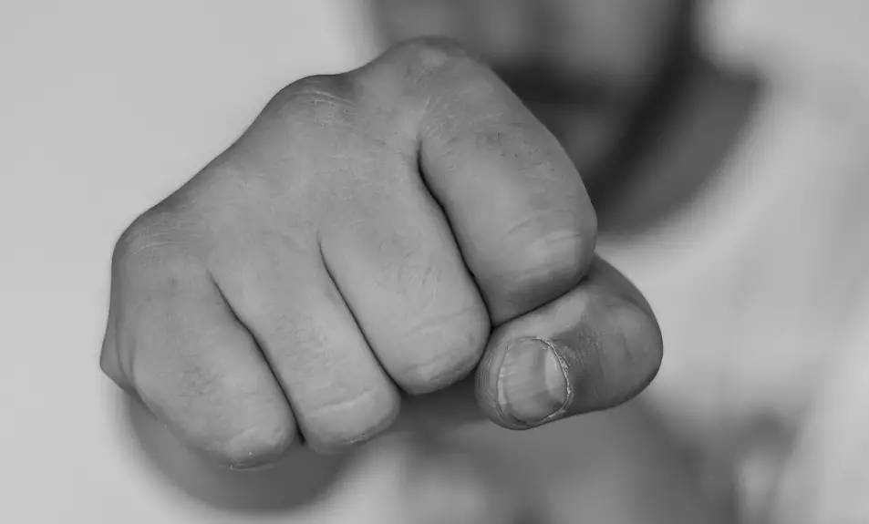 О нападении на приют для животных в Алматинской области сообщили его сотрудники