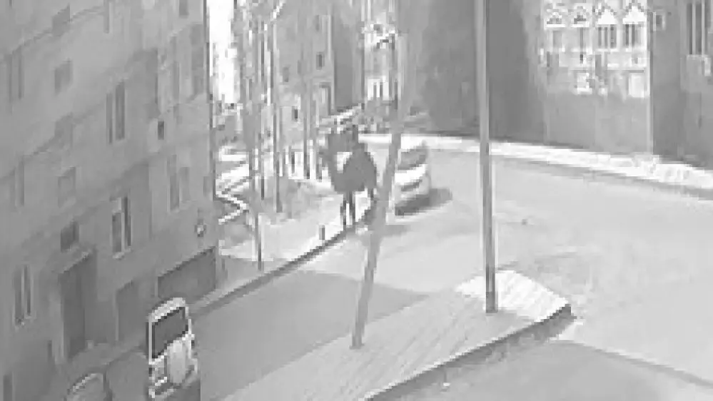 Құлсарыда үйдің ауласында ойнап жүрген баланы түйе таптап тастаған (ВИДЕО)