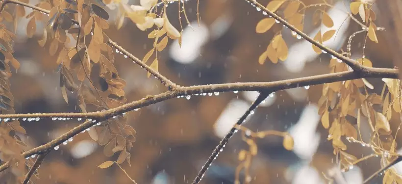 Штормовое предупреждение из-за сильных дождей и порывистого ветра объявили в ряде регионов Казахстана