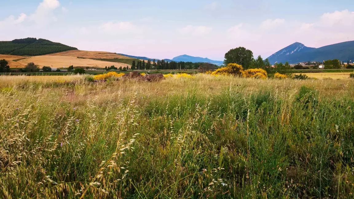 Жер қатынастары саласында қандай оң өзгерістер байқалады? Сарапшы пікір білдірді