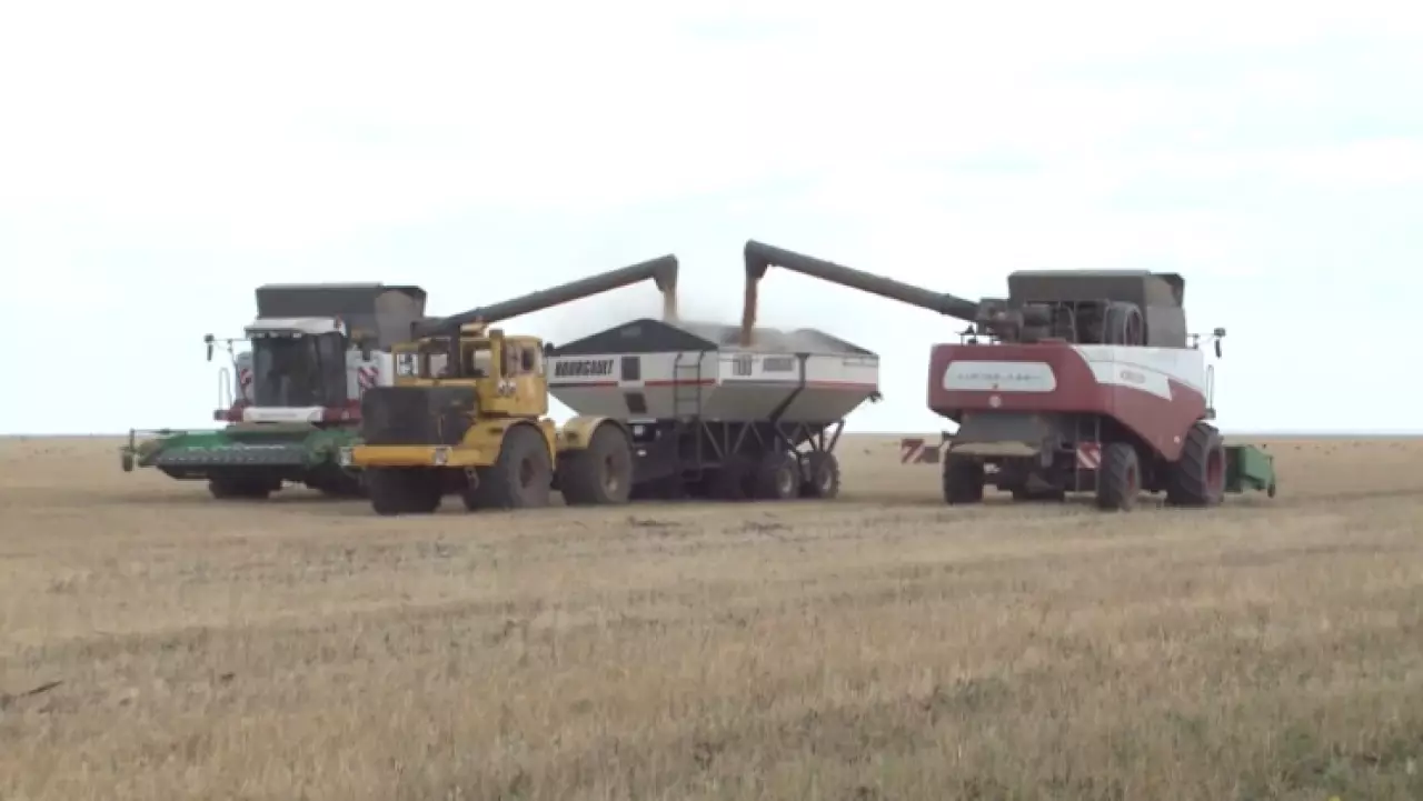 Уборочную завершают в Костанайской области