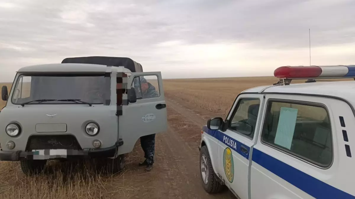 Мужчина погиб во время лесозаготовки в Акмолинской области