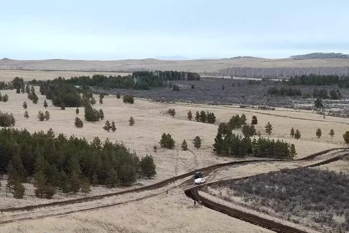 Трагедия на рабочем месте: в Акмолинской области на территории лесхоза погиб мужчина