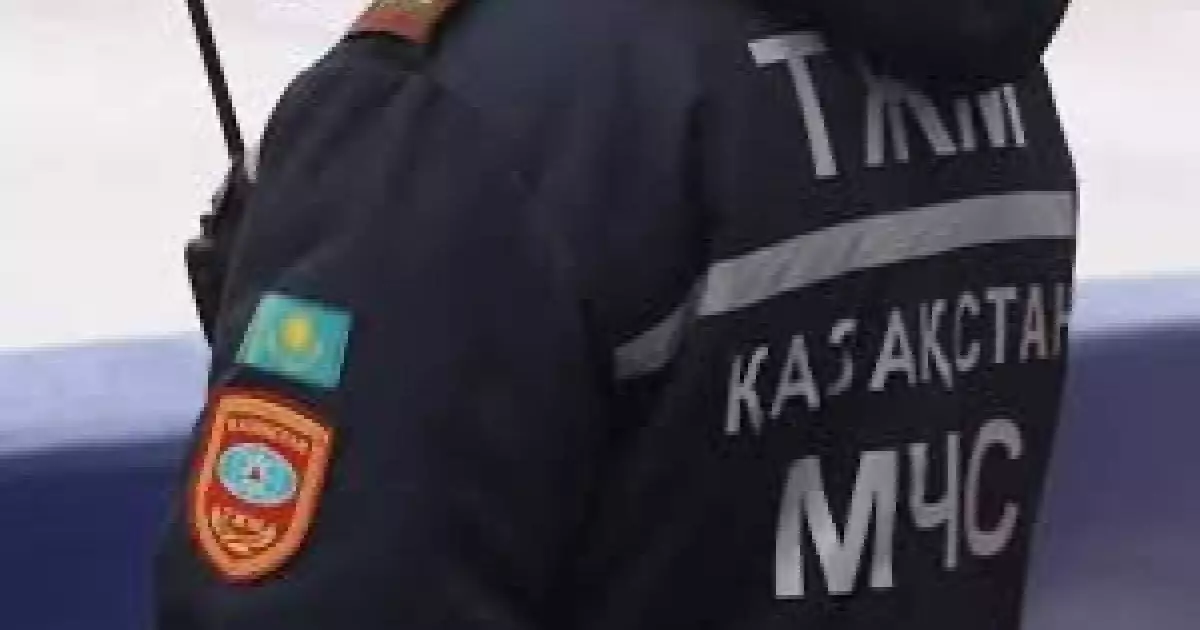  Ақмола облысында ағаш кесу кезінде ер адам қаза тапты 