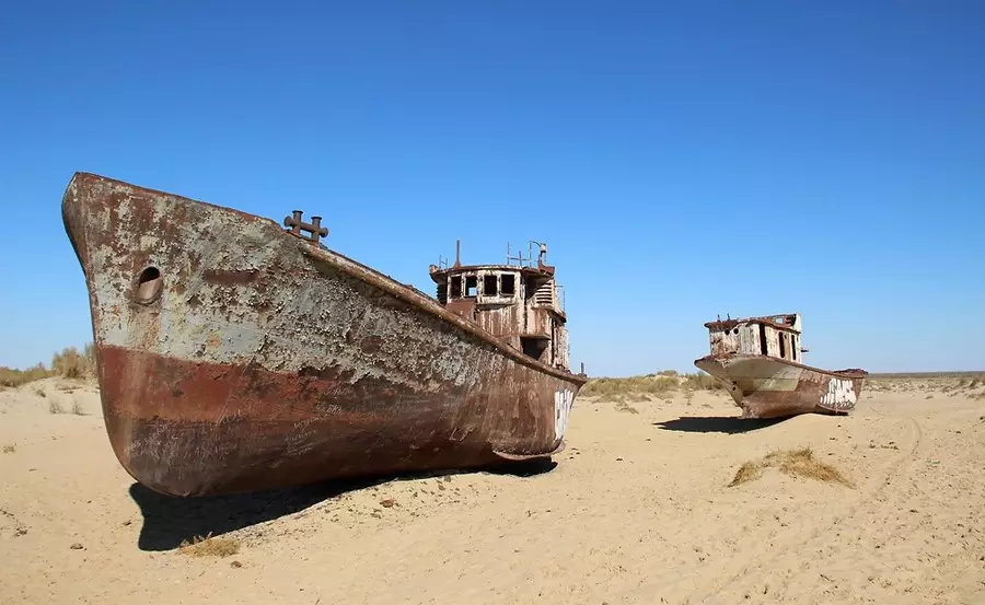 Проект по восстановлению экосистемы дна Аральского моря запустят в Казахстане