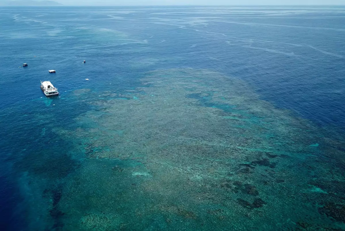 Смерть на острове: пожилую туристку забыли во время экскурсии в Австралии