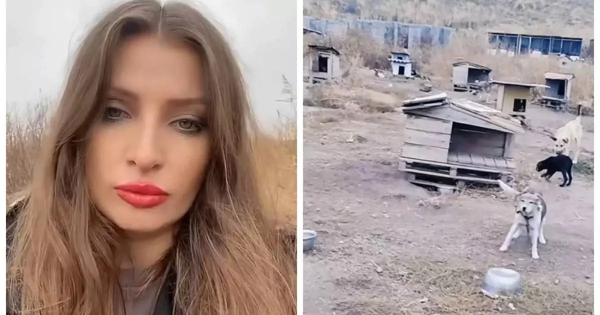  Алматы облысында жануарлар орталығына бетперде киген адамдар шабуыл жасаған (ВИДЕО) 