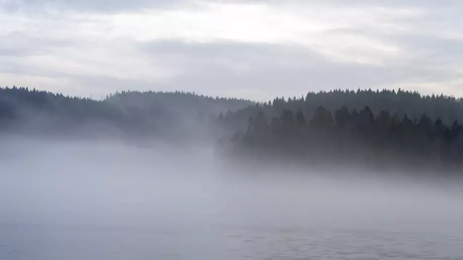 Тұман және өрт қаупі: 14 өңірде дауылды ескерту жарияланды