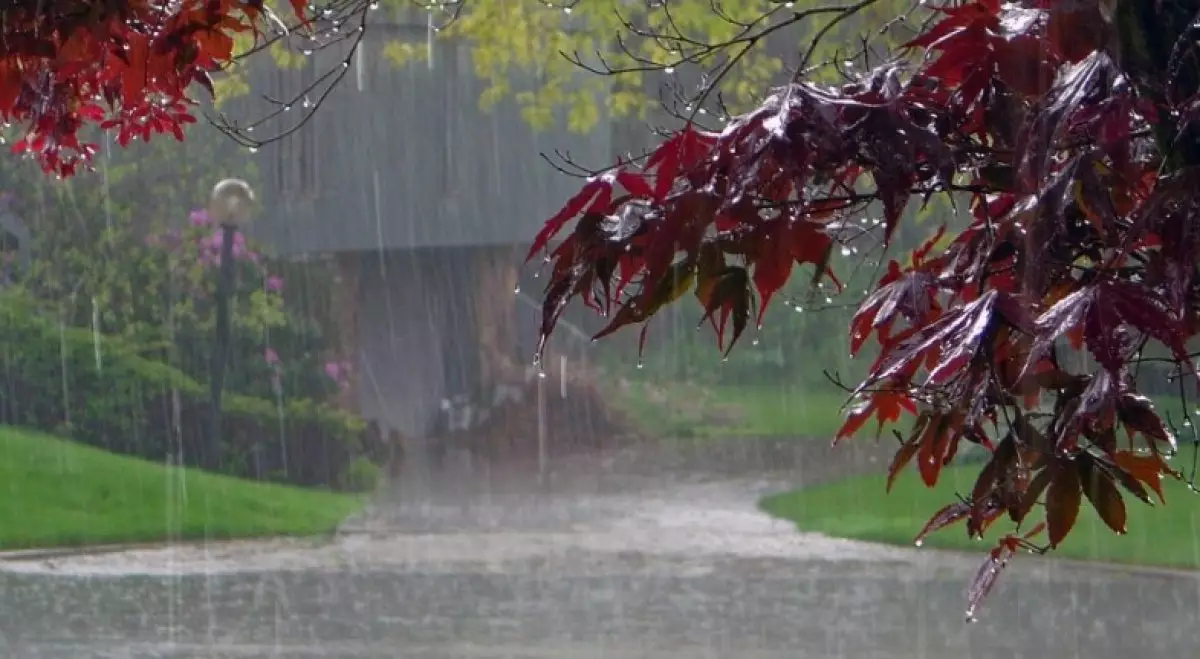 Жұмысқа қалай киіну керек - синоптиктер ауа райы болжамын ұсынды