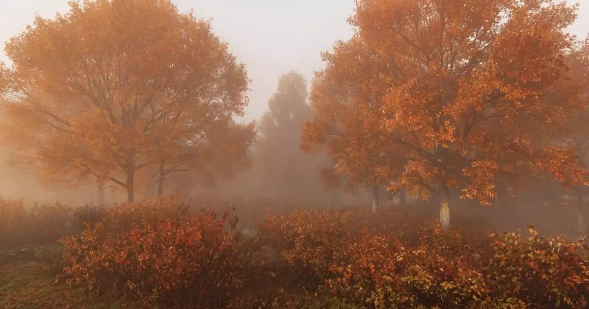  30 қазан күнгі ауа райы болжамы 