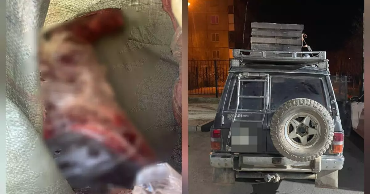  Қарағандыда заңсыз киік аулаған адам ұсталды 