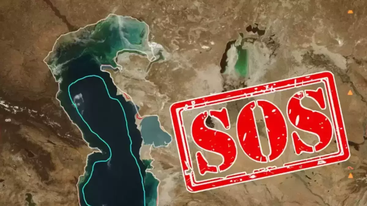 Каспийдің күрт таяздануына байланысты мамандар шұғыл шара қабылдады