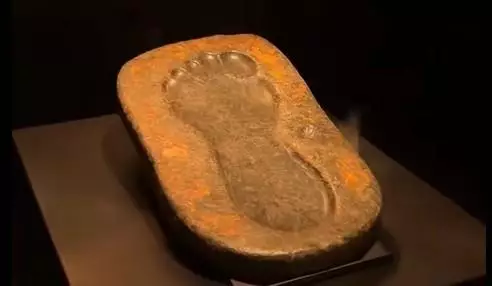 Эмбер Линн ойнайтын фильмдер