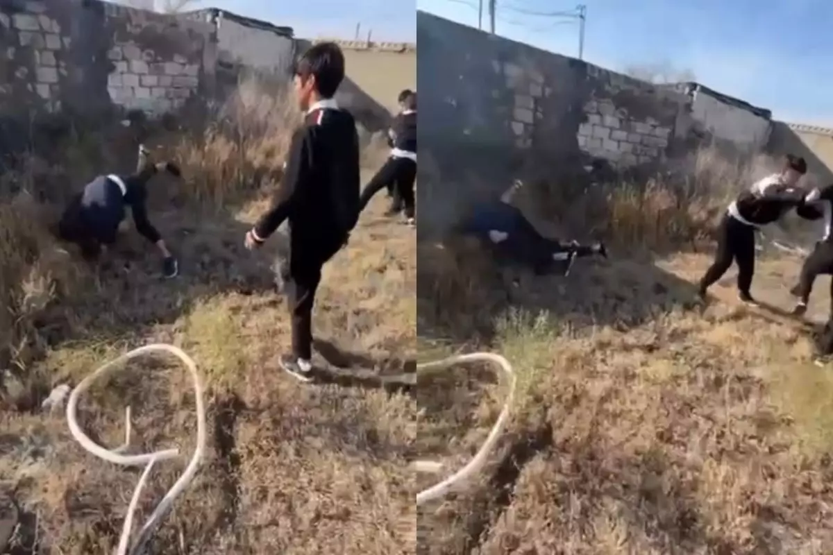 Атыраудағы агроколледжде жаппай төбелес: студенттер бірін-бірі аямады