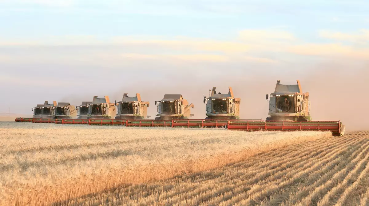 Экс-председателя Фонда финподдержки сельского хозяйства арестовали в Шымкенте