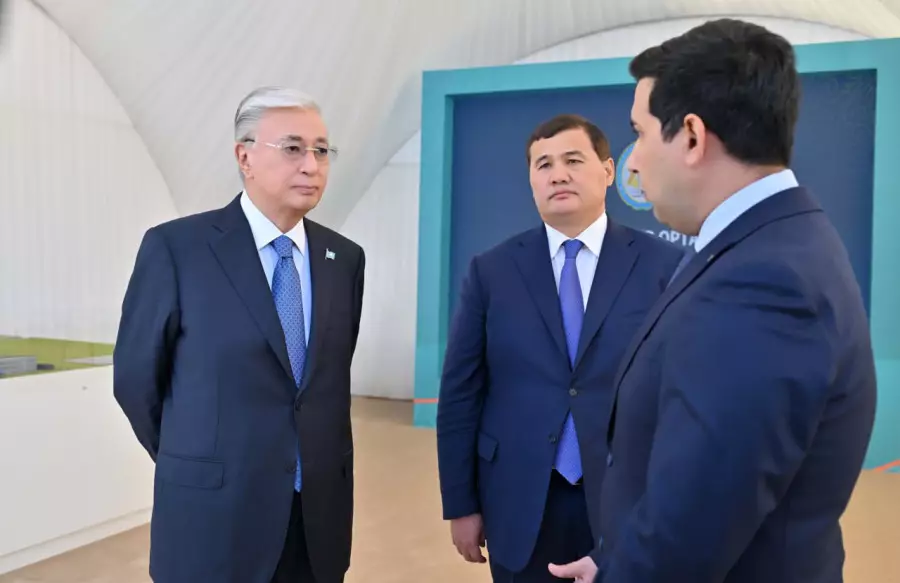 Президент жаңа жылу электр орталығына барды