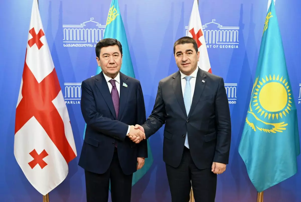 Кошанов провел переговоры со спикером Парламента Грузии