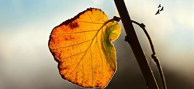 Штормовое предупреждение объявлено в некоторых регионах Казахстана