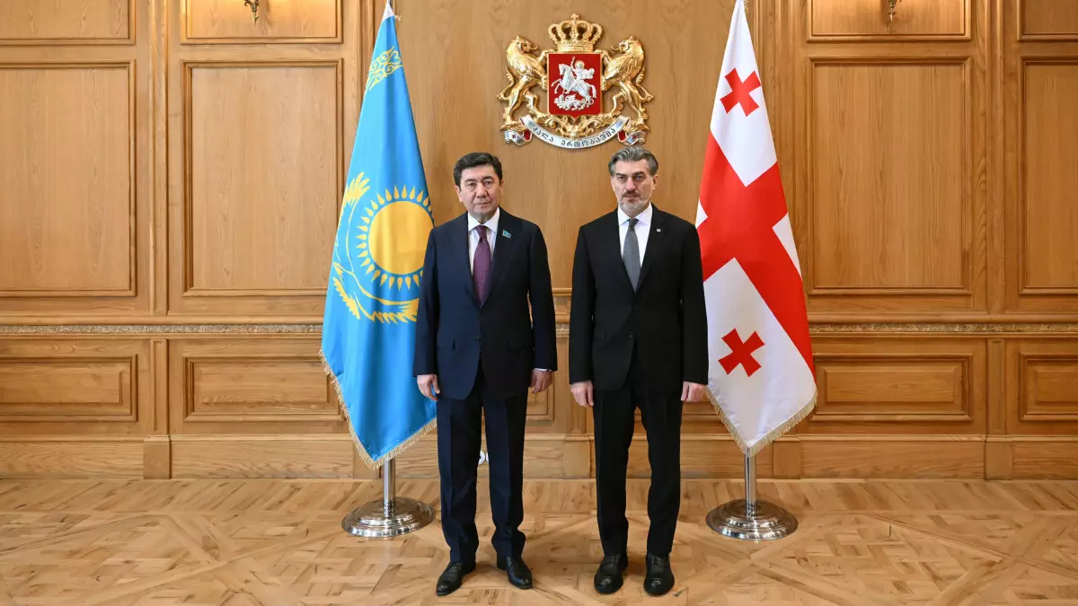 Ерлан Қошанов Грузия басшылығымен кездесіп, ынтымақтастықты тереңдету жолдарын талқылады