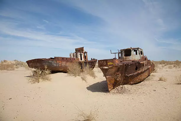 Казахстан будет использовать инновационные дроны для лесовосстановления дна Аральского моря.