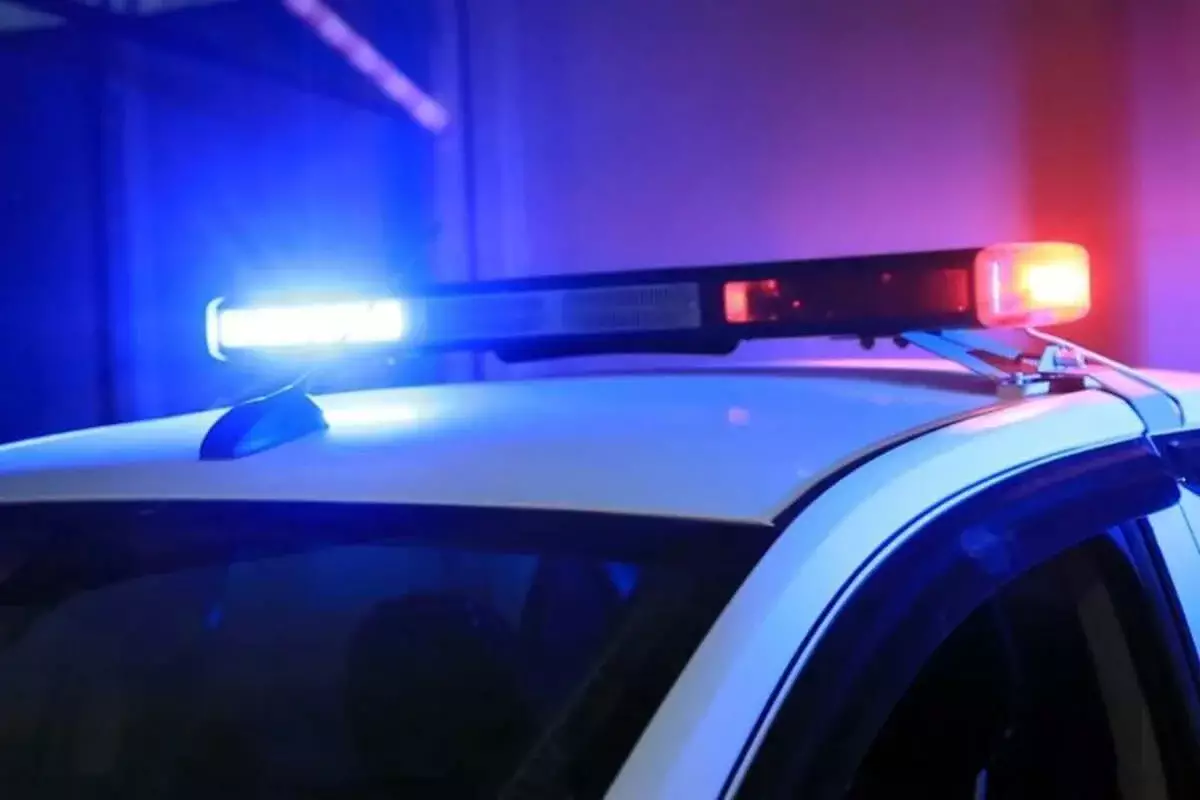 Двое пьяных мужчин напали на полицейских, прибывших для их задержания в СКО