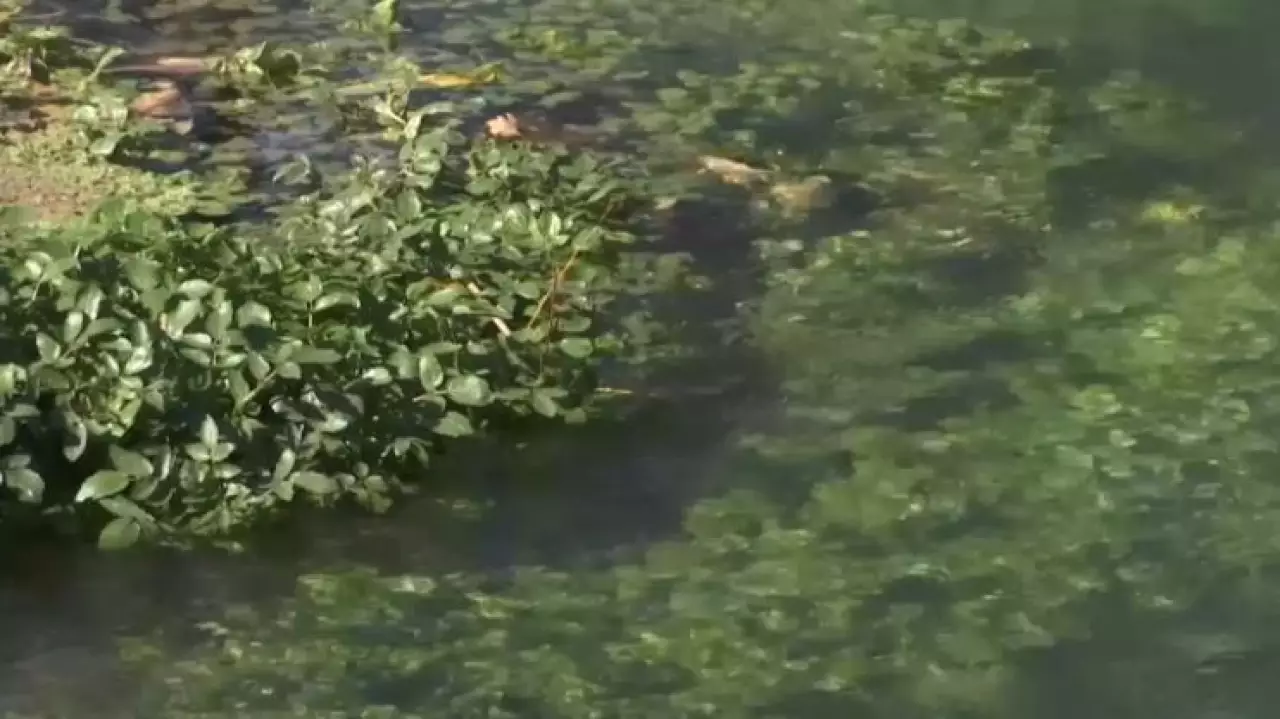 Эковолонтёры очистили святые родники и побережье реки Карасу