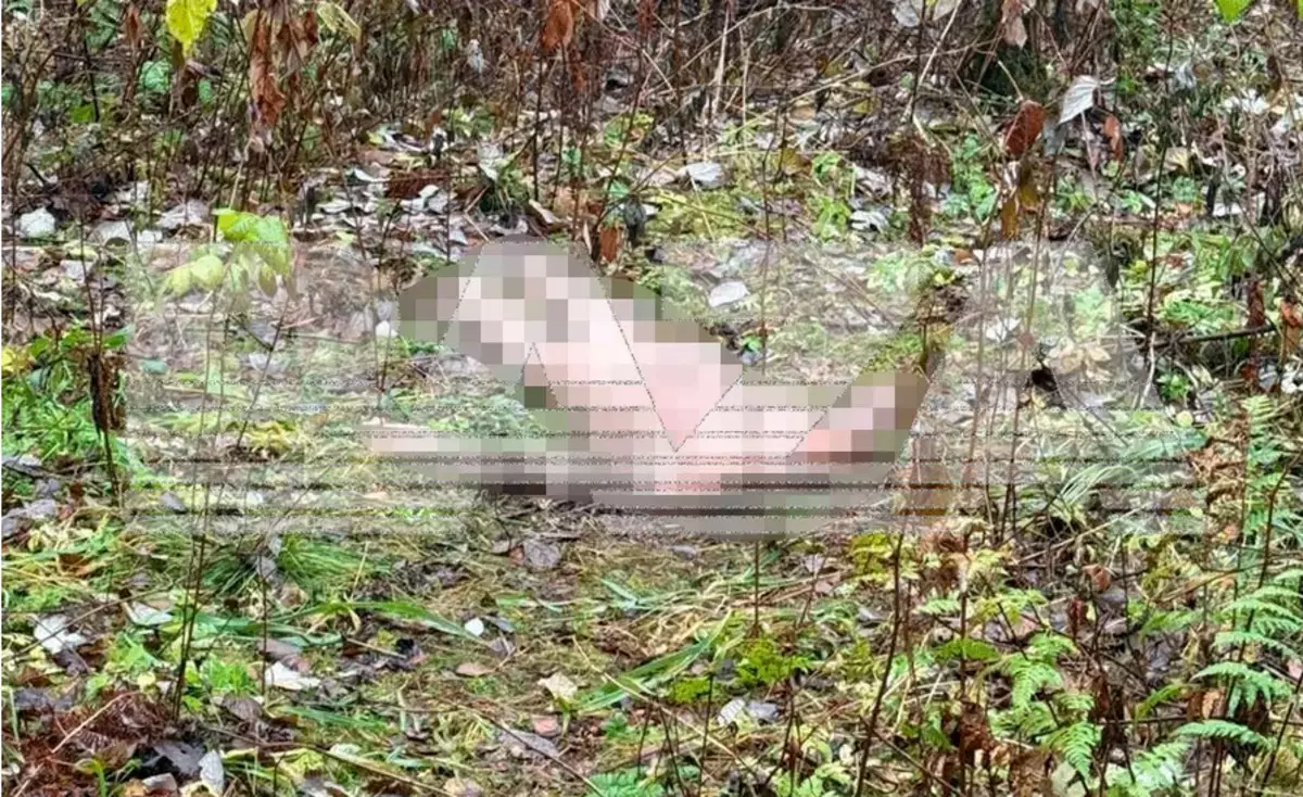 Ужас в лесопарке Екатеринбурга: найдена голая обезглавленная женщина - новости на Lada.kz 30.10.2025