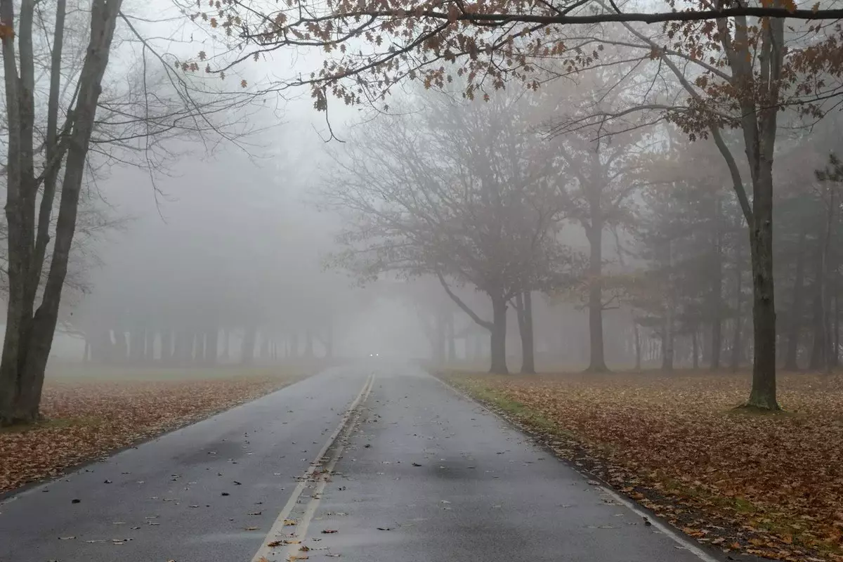 В Казахстане 31 октября дожди и туман, на востоке и в центре заморозки