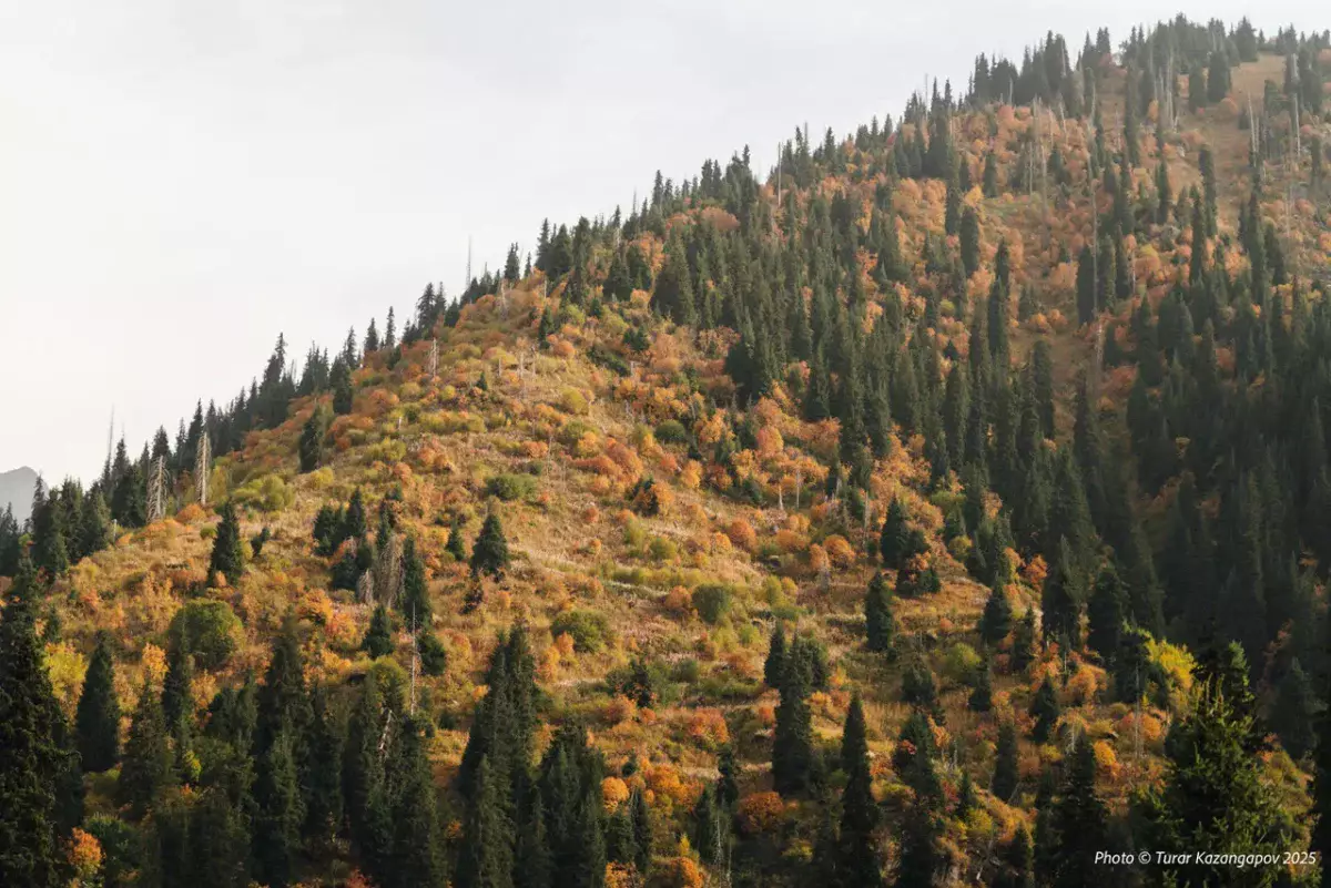 Прогноз погоды в Казахстане на 31 октября