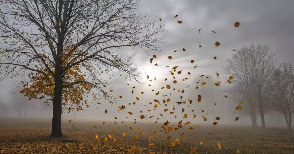  31 қазан күнгі ауа райы болжамы 